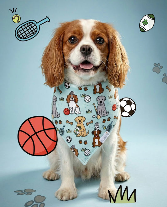 Croke Bark Dog Bandana