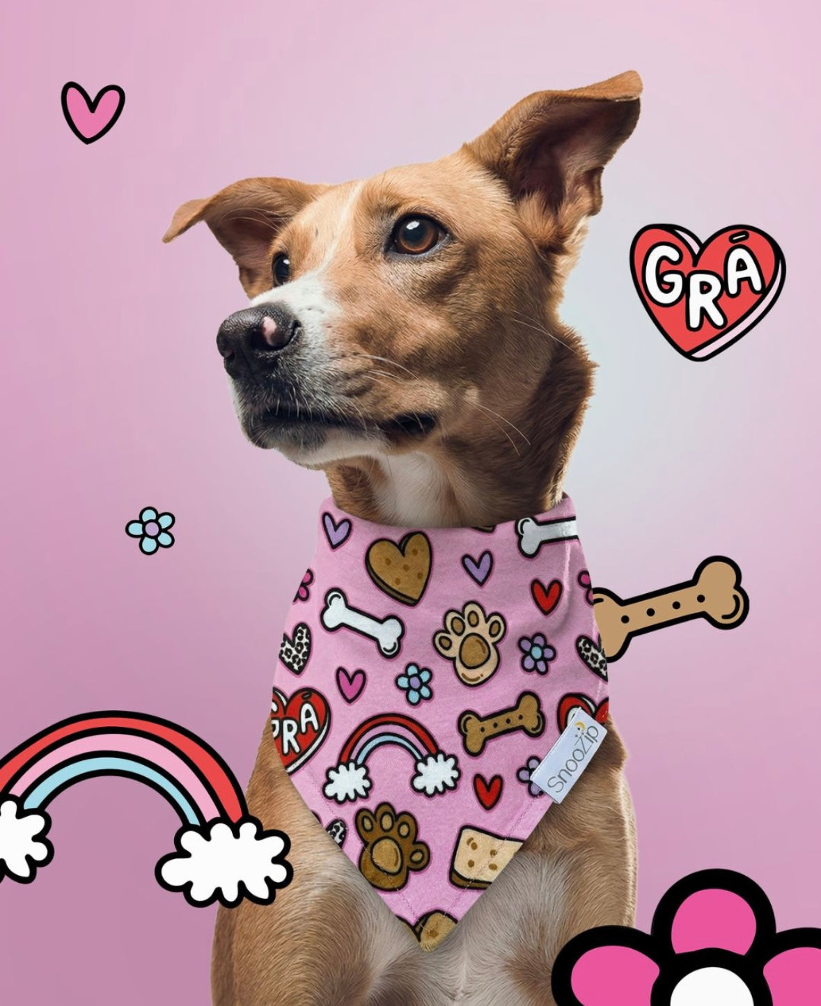 Grá Dog Bandana