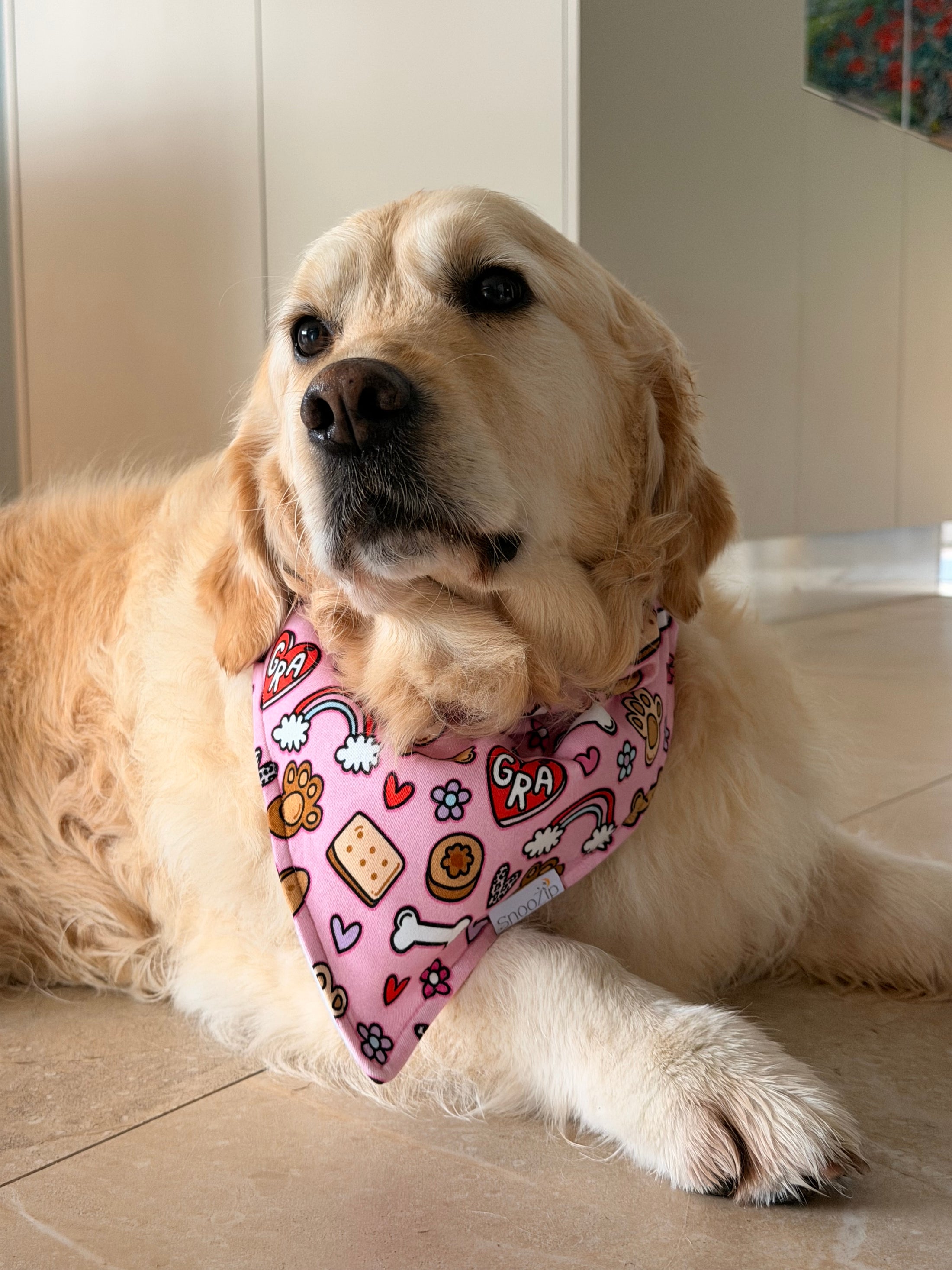 Grá Dog Bandana