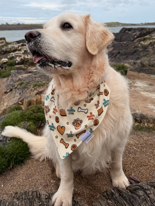 Is Maith Liom Dog Bandana