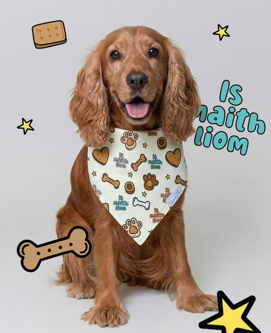 Is Maith Liom Dog Bandana