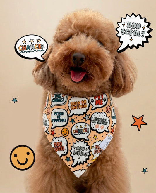 Fetch It Yourself Dog Bandana