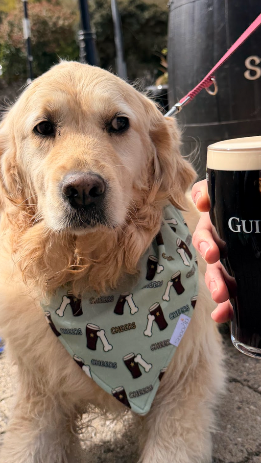 Cheers Dog Bandana