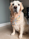 Load image into Gallery viewer, Fetch It Yourself Dog Bandana

