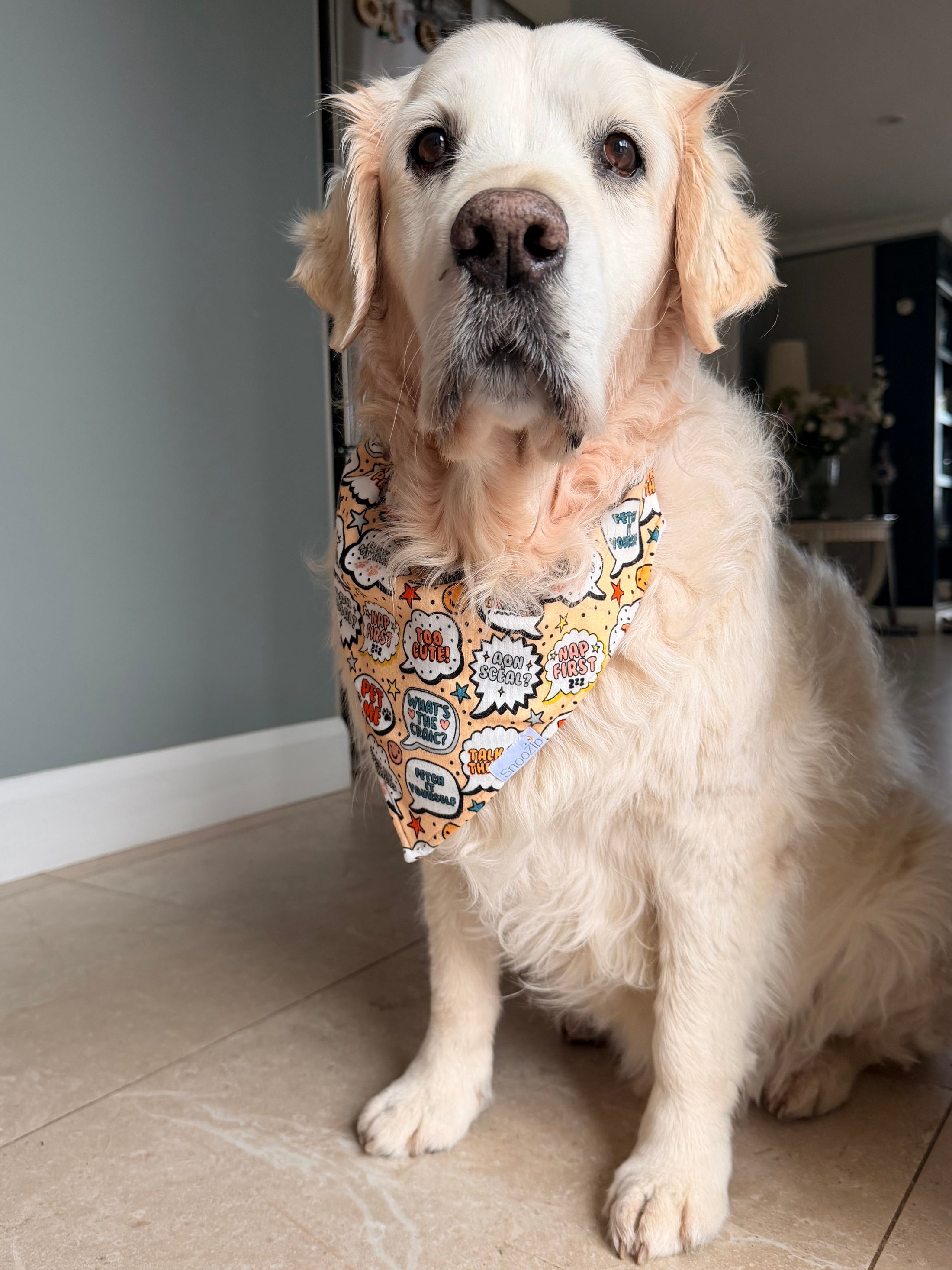 Fetch It Yourself Dog Bandana