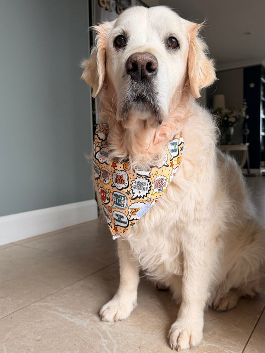 Fetch It Yourself Dog Bandana