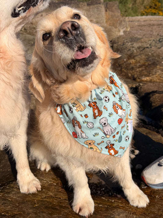 Croke Bark Dog Bandana